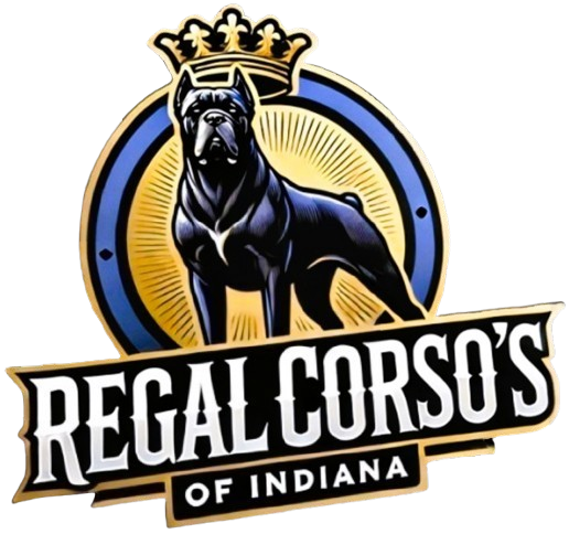 Regal Corso’s of Indiana